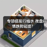 专项债发行缩水 夜盘行情跌势延续？（图3）