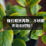 镍价期货再跌,不锈钢市场如何稳?(图3) 镍价期货再跌,不锈钢市场如何稳?(图3)