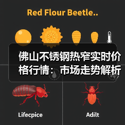 佛山不锈钢热窄实时价格行情:市场走势解析(图4) 佛山不锈钢热窄实时价格行情:市场走势解析(图4)