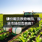 镍价期货跌势难挡,现货市场能否自救?(图3) 镍价期货跌势难挡,现货市场能否自救?(图3)