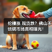 伦镍涨 现货跌?佛山不锈钢市场真相曝光!(图4) 伦镍涨 现货跌?佛山不锈钢市场真相曝光!(图4)
