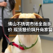 佛山不锈钢市场全面涨价 现货报价飙升商家暂停优惠(图4) 佛山不锈钢市场全面涨价 现货报价飙升商家暂停优惠(图4)